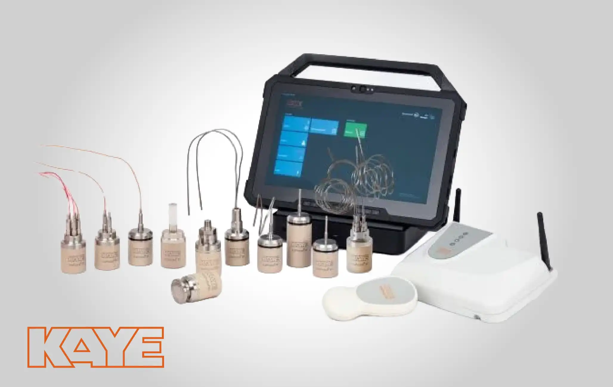 KAYE Wireless (RF) ValProbe RT System